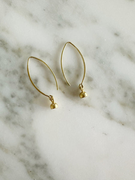 Orecchini RAMO e semino di gentilezza